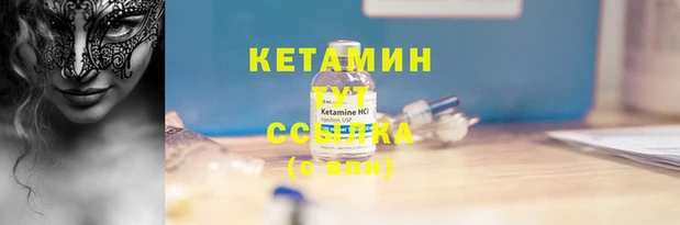 стаф Дмитровск