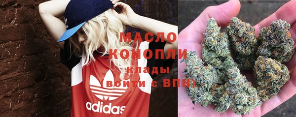 стаф Дмитровск