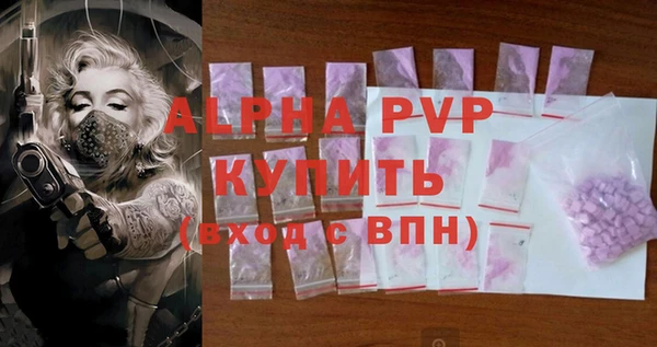 стаф Дмитровск