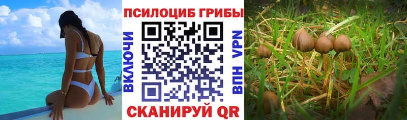Псилоцибиновые грибы MAGIC MUSHROOMS  Шиханы 